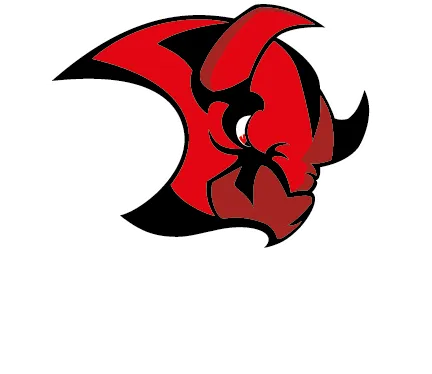 Saale Bulls Logo
